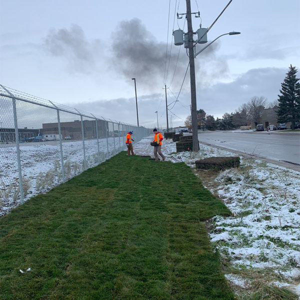 redleaf_0001_Photo 2019-11-07, 8 58 06 AM