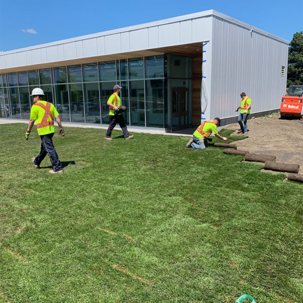 redleaf_0009_Photo 2019-06-06, 11 53 31 AM