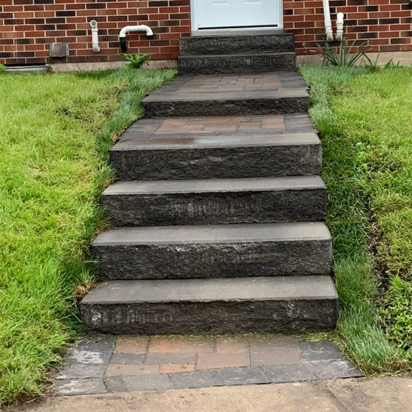 redleaf_0011_Photo 2019-06-02, 9 37 23 AM