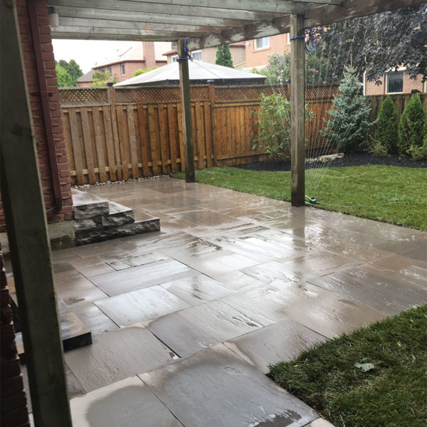 redleaf_0013_Photo 2018-09-20, 2 23 52 PM
