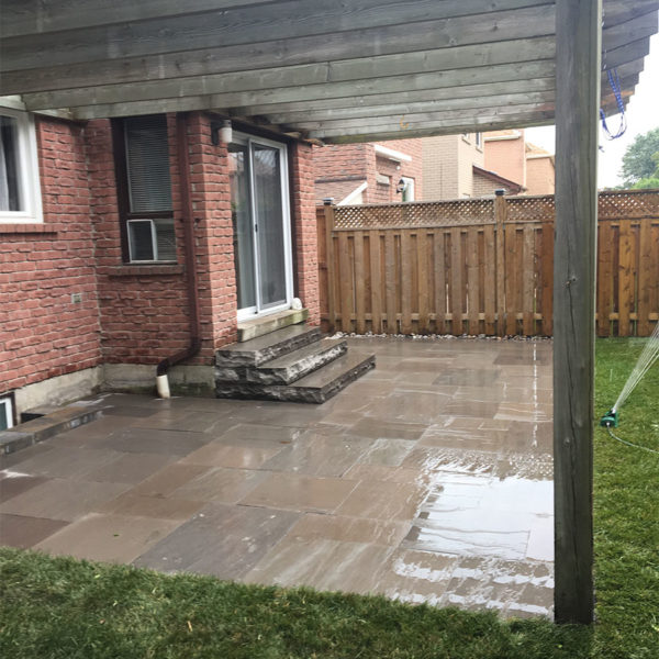 redleaf_0014_Photo 2018-09-20, 2 23 35 PM
