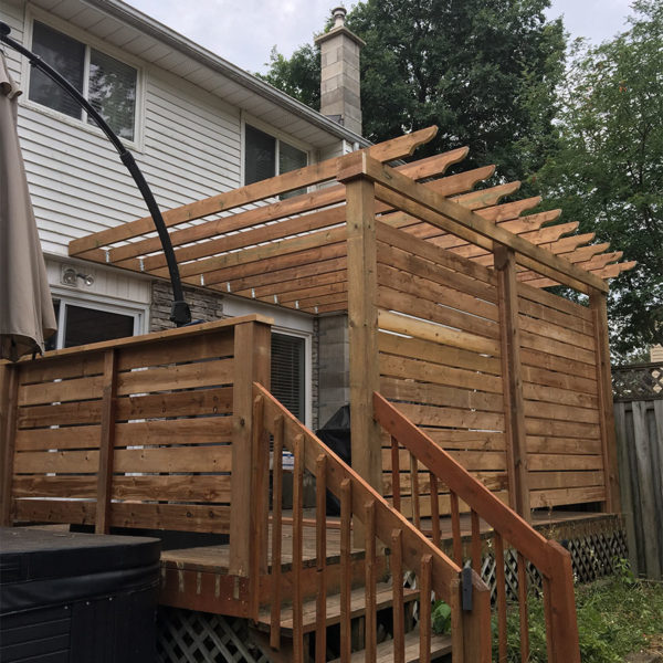 redleaf_0019_Photo 2018-07-16, 11 48 20 AM